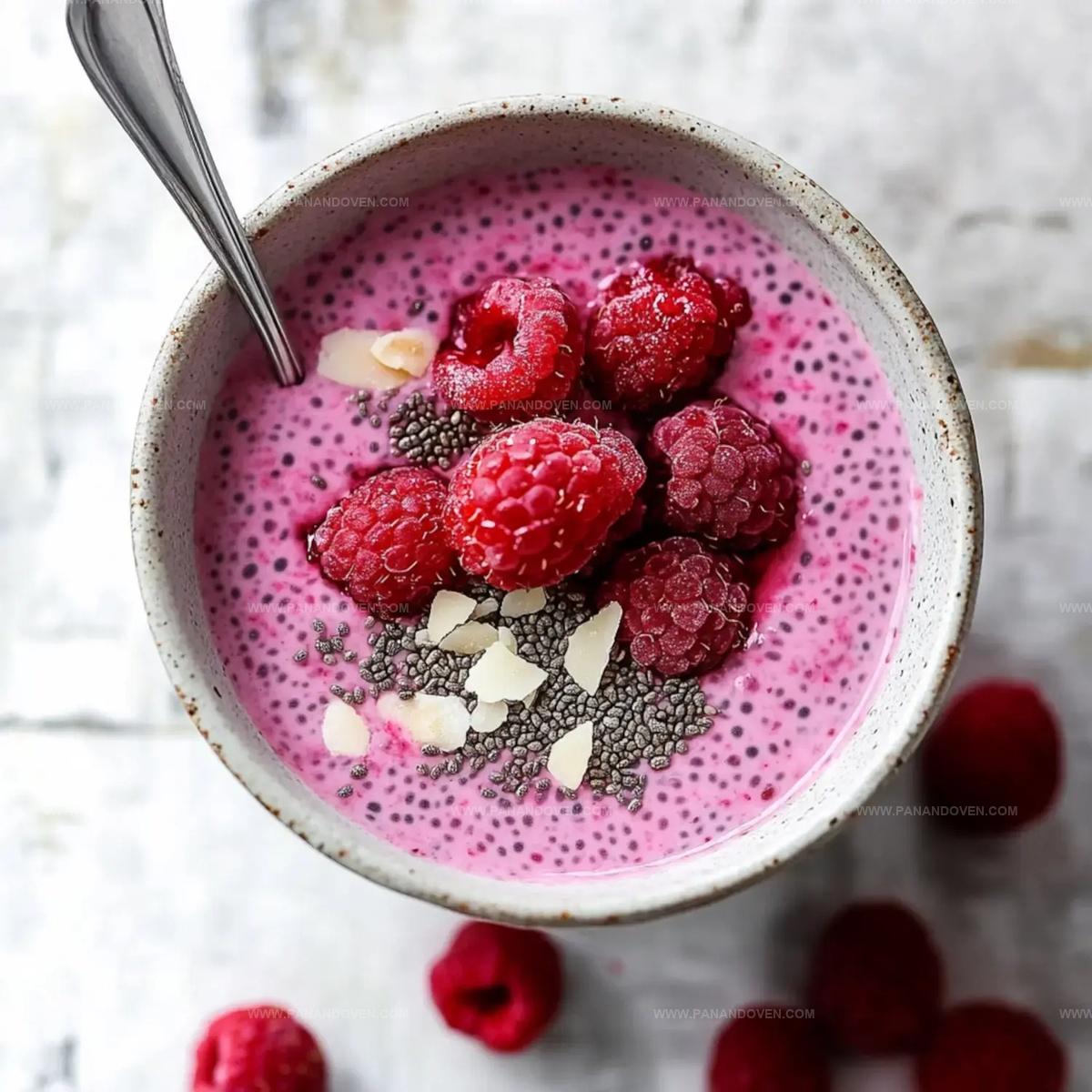 Raspberry Chia Pudding Recipe