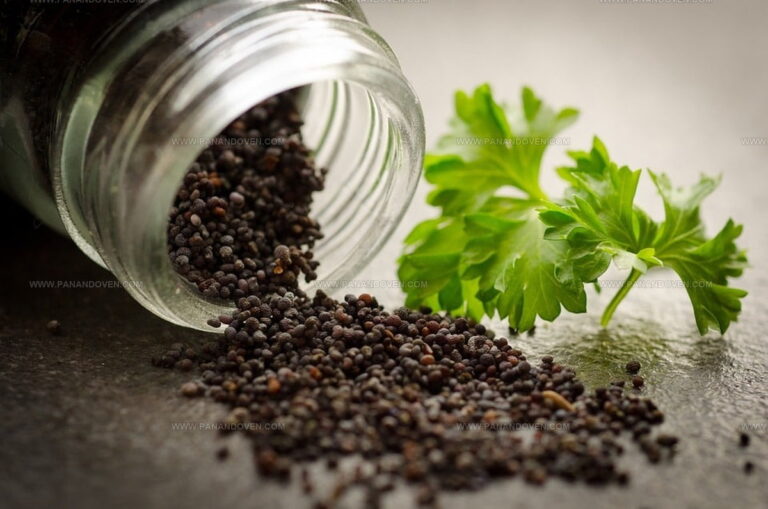 Poppy Seeds Taste Like Little Nutty Bursts of Earthy Goodness
