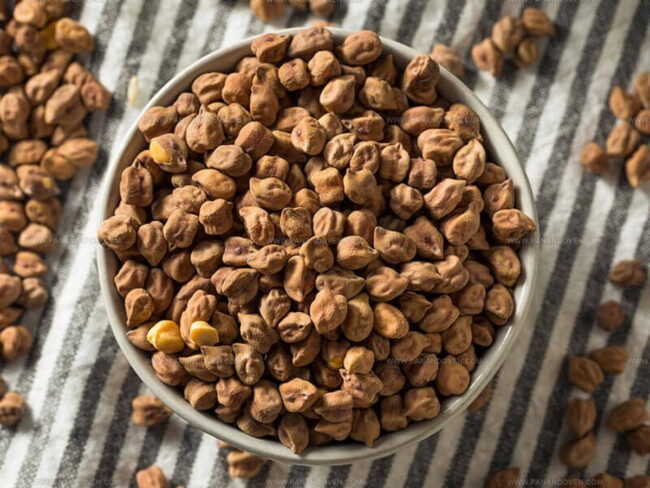 Chickpea Taste Guide