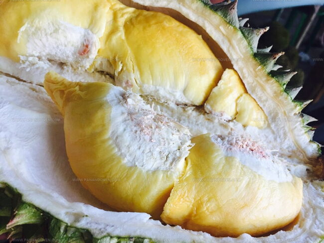Durian Fruit Flavor Profile