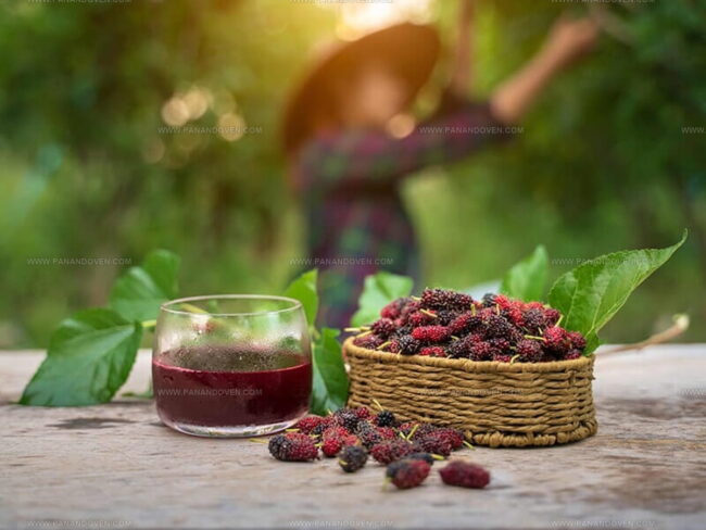 Ways to Prepare and Eat Mulberries