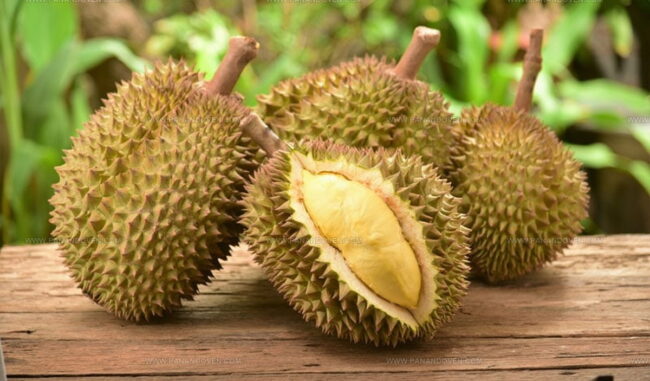How to Use and Keep Durian Fruit
