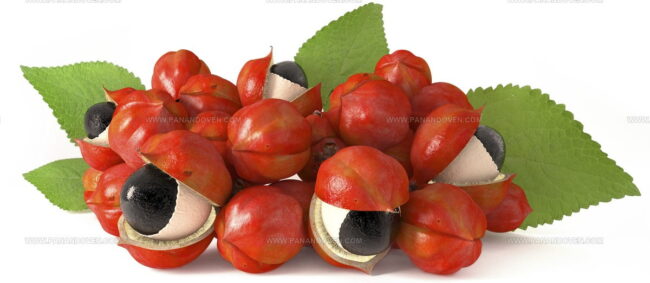 Guarana
