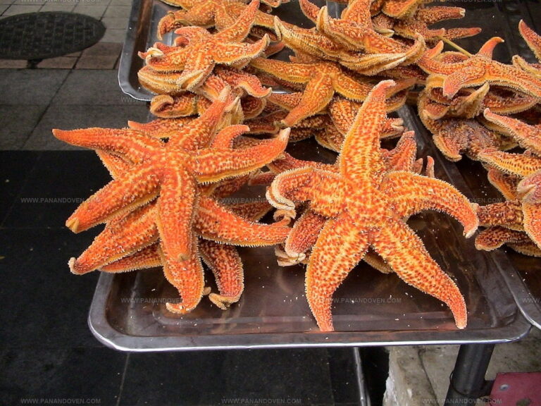 What Does Starfish Taste Like? Dive Into This Ocean Mystery