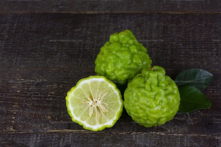 What Does Bergamot Taste Like? Citrus with a Floral Twist