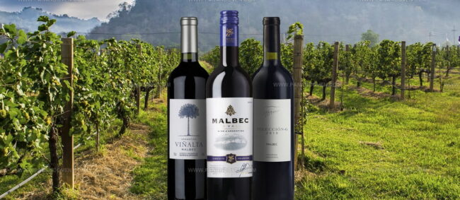 Malbec Argentina