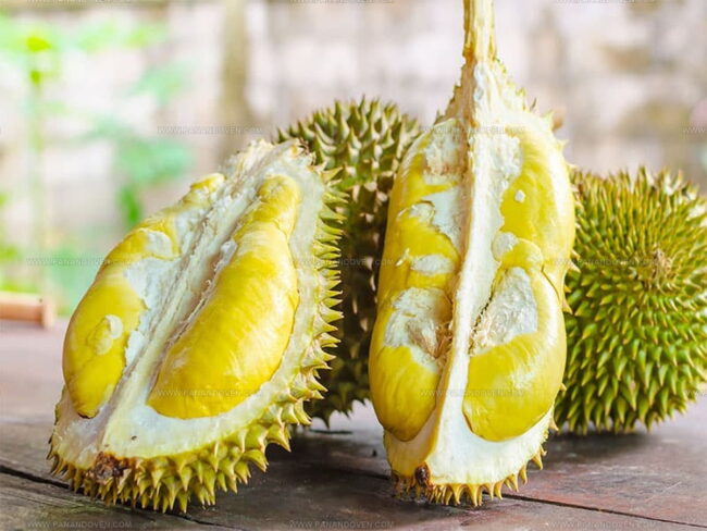 How To Choose A Ripe Durian Fruit