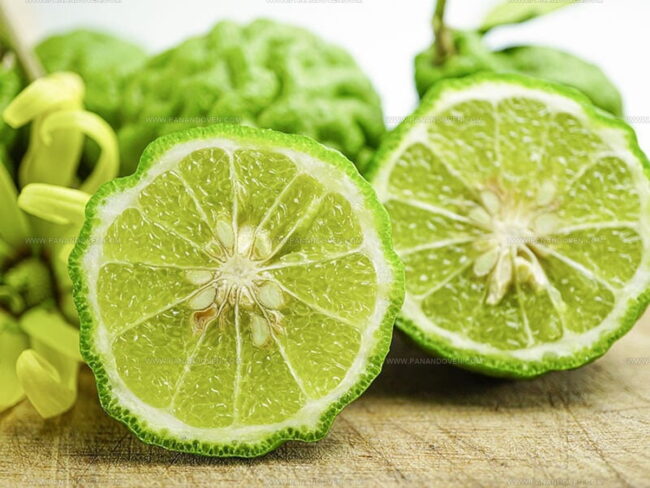 The Taste of Bergamot