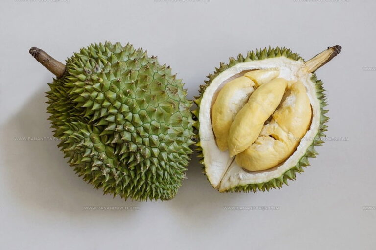 What Does Durian Fruit Taste Like? A Strange Adventure For Your Tastebuds