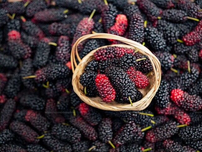 Mulberry Flavor Guide